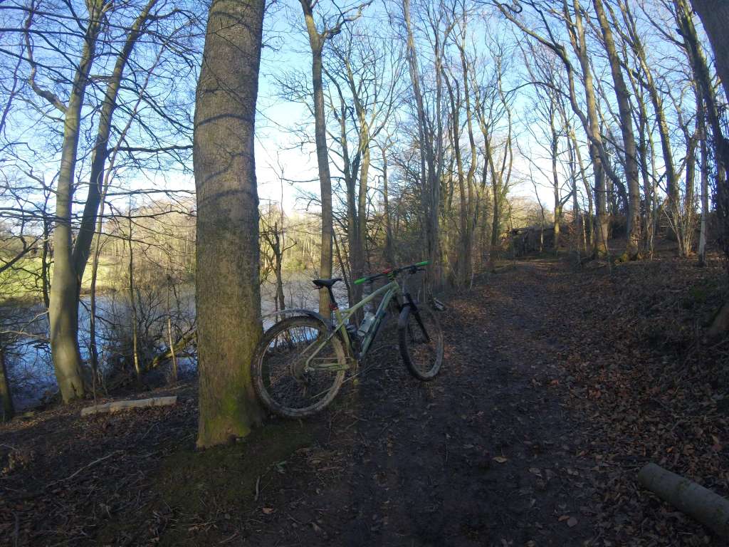 GOPR0080_1737817606997