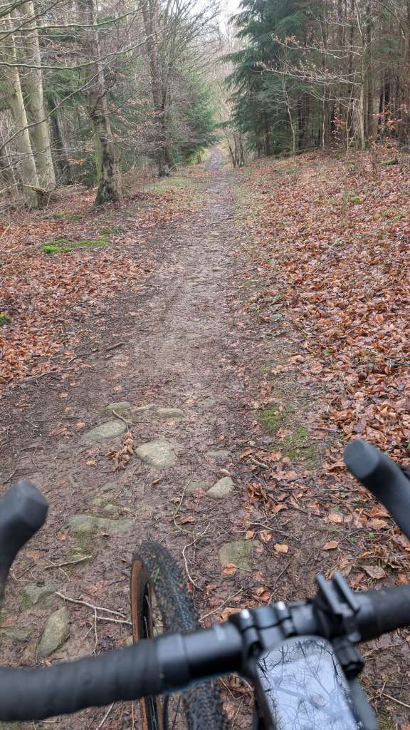 PXL_20250126_104203206