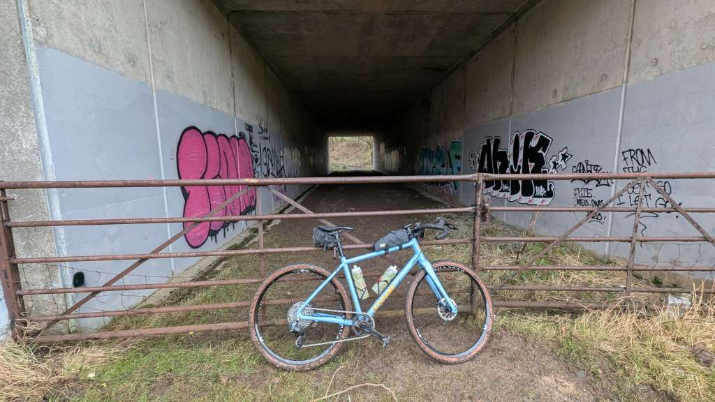 PXL_20250126_095204113