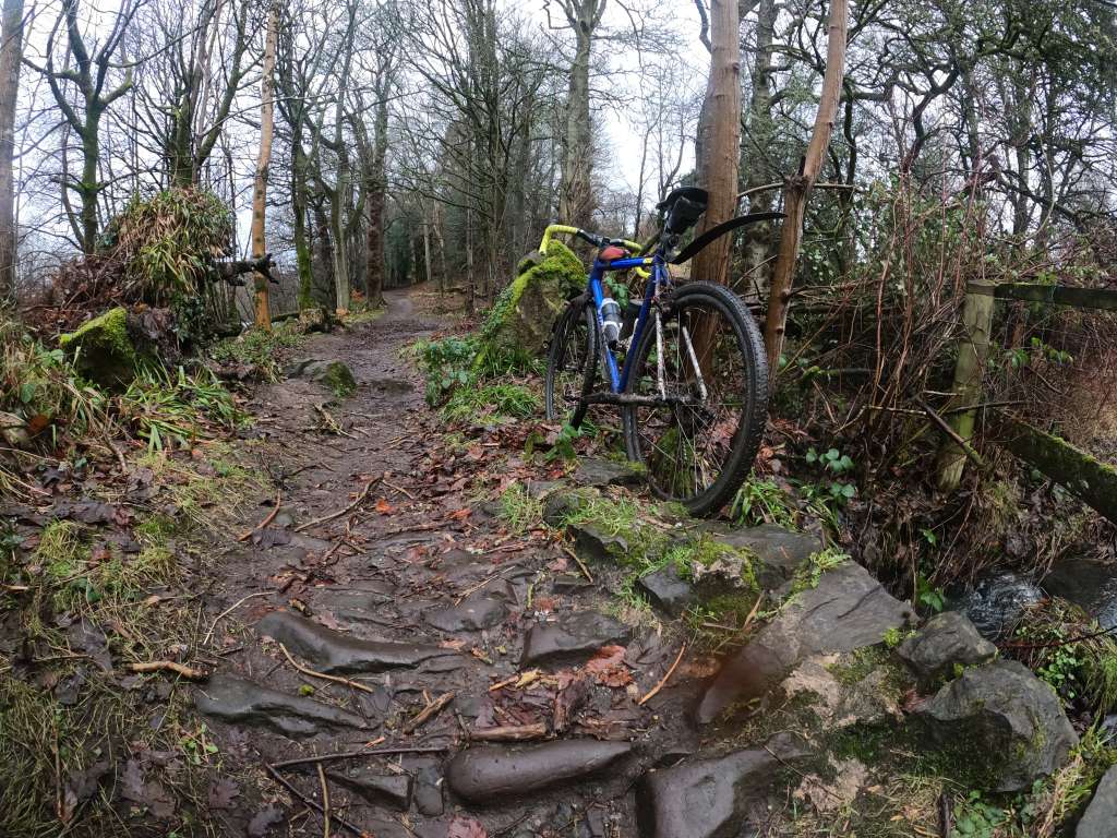 GOPR1364_1737995559582