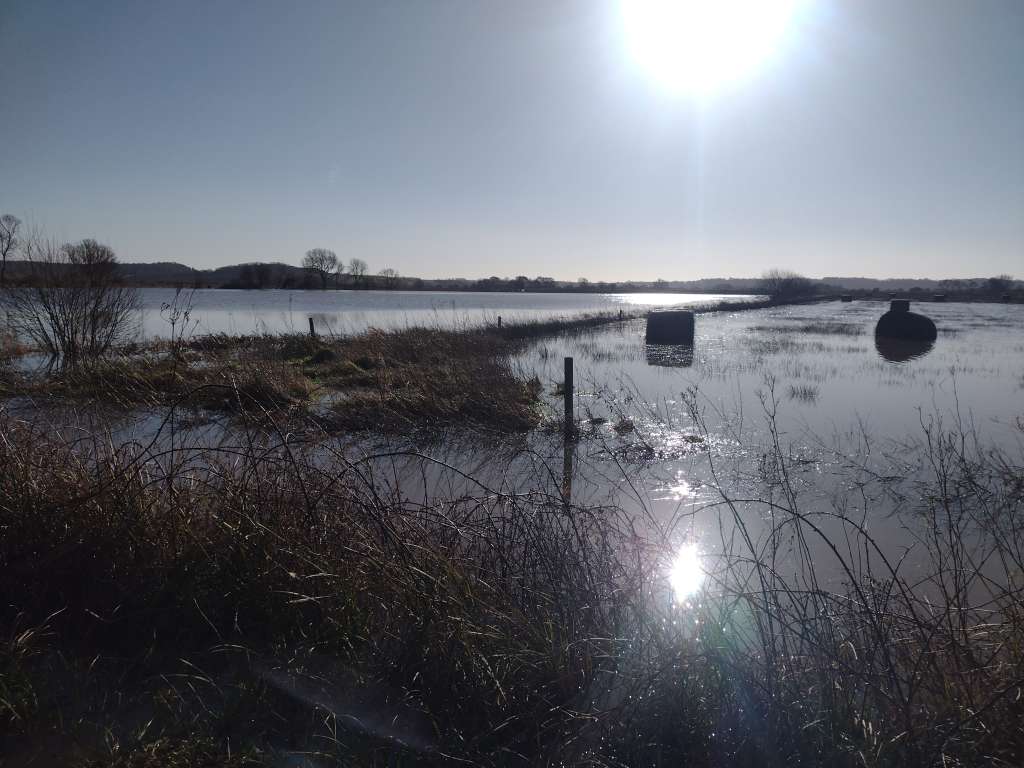 IMG_20250130_113606178