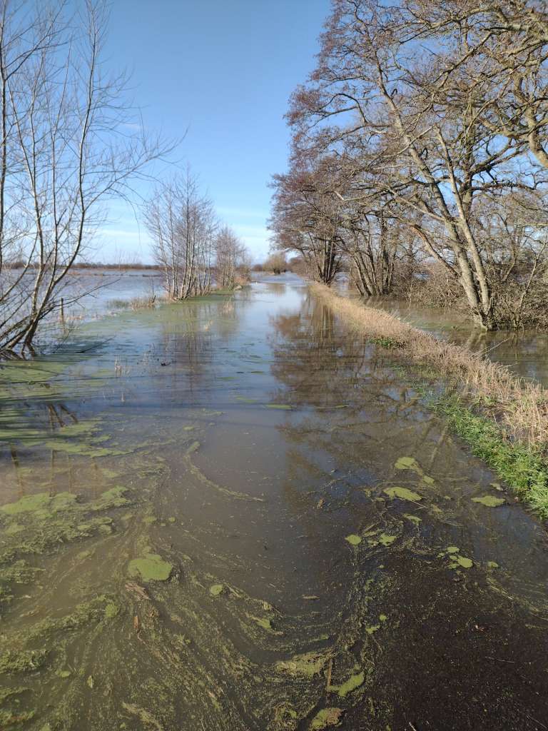 IMG_20250130_114138859