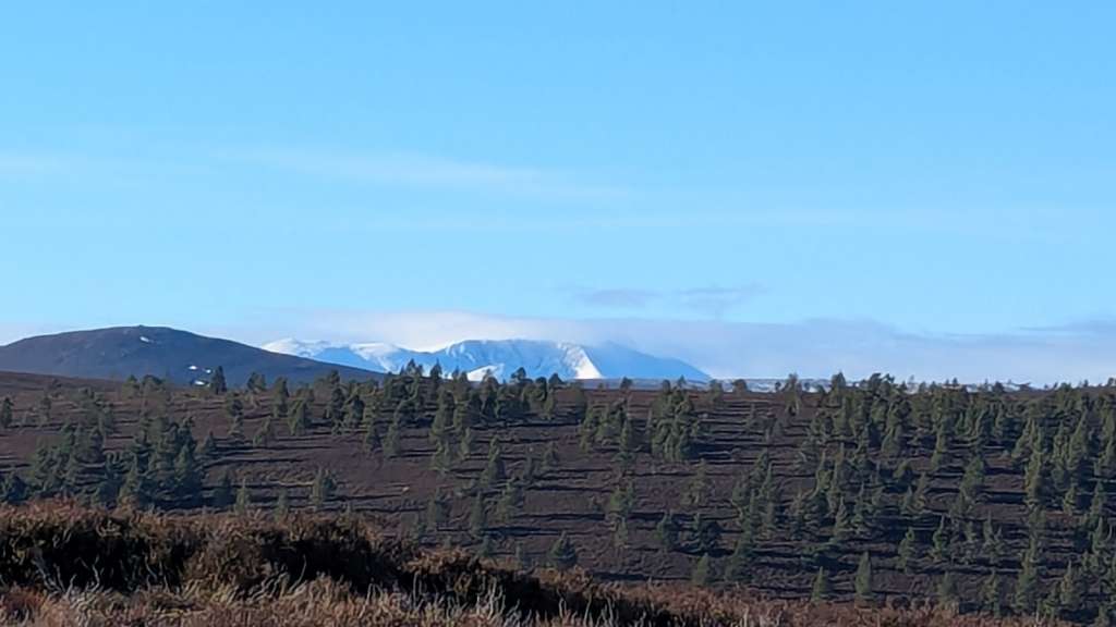 PXL_20250131_112718754