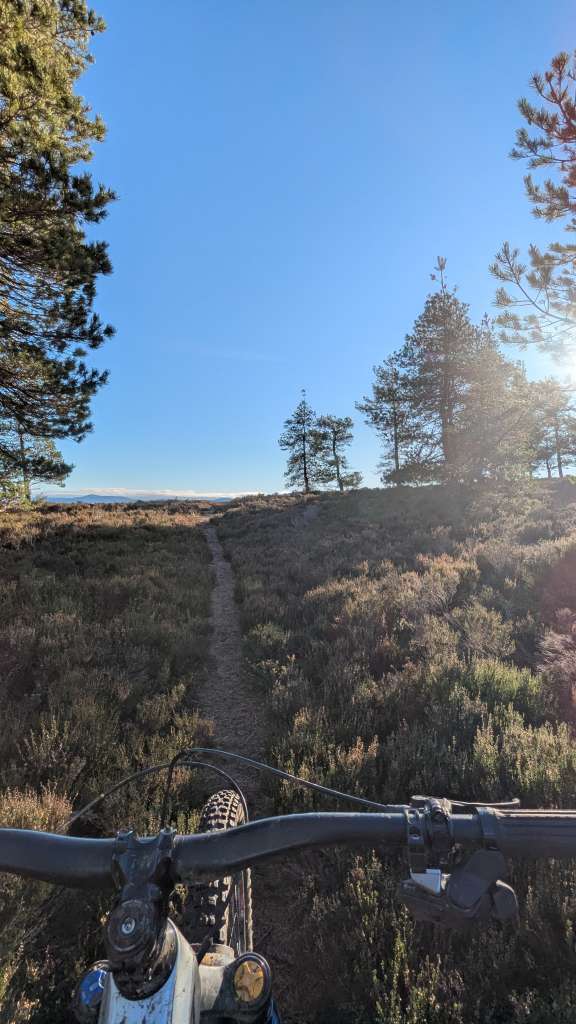 PXL_20250131_112424365