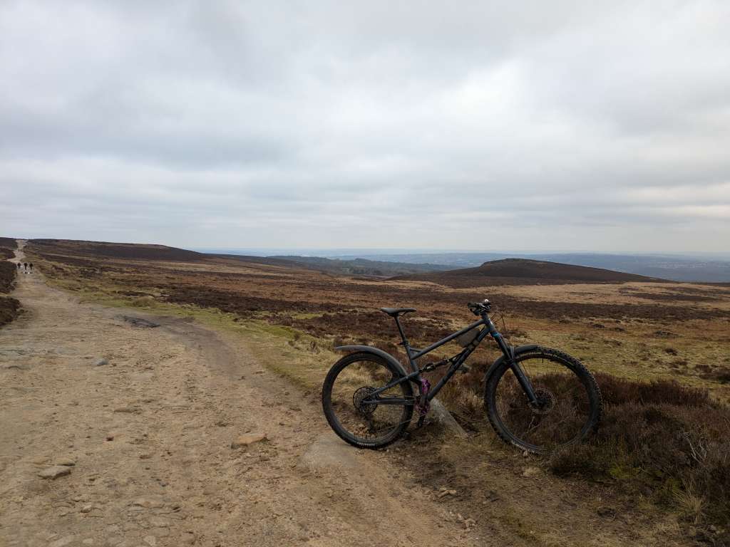 PXL_20250201_123535975