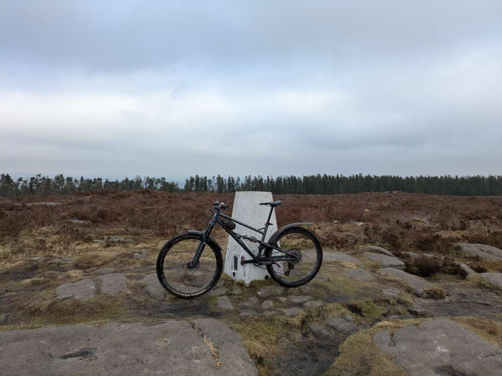 PXL_20250201_142016315