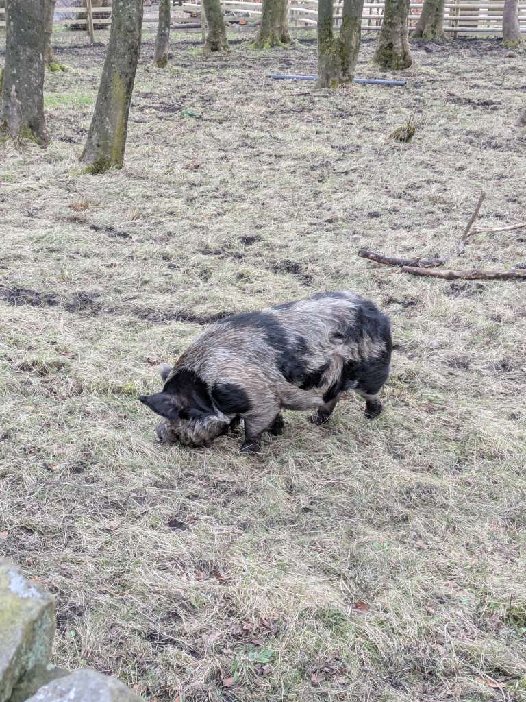 PXL_20250201_143127016