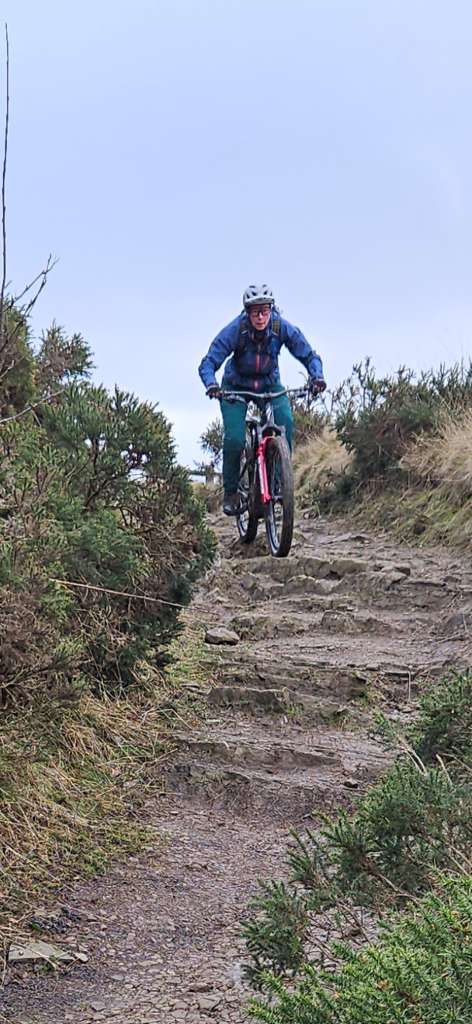 Screenshot_20250201_144051_Gallery