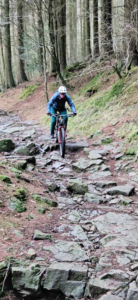 Screenshot_20250201_144250_Gallery