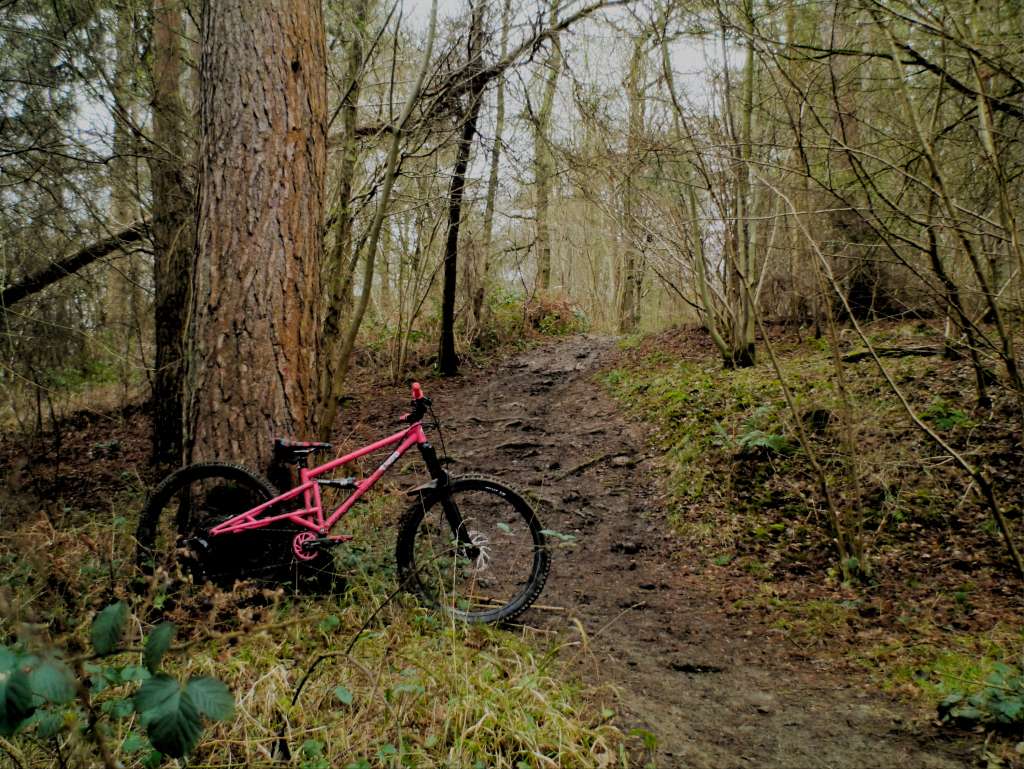 2025 02 01 003 Wakerley Saturday Scartree Sortie_06b 3000