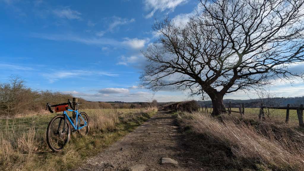 PXL_20250202_113927430