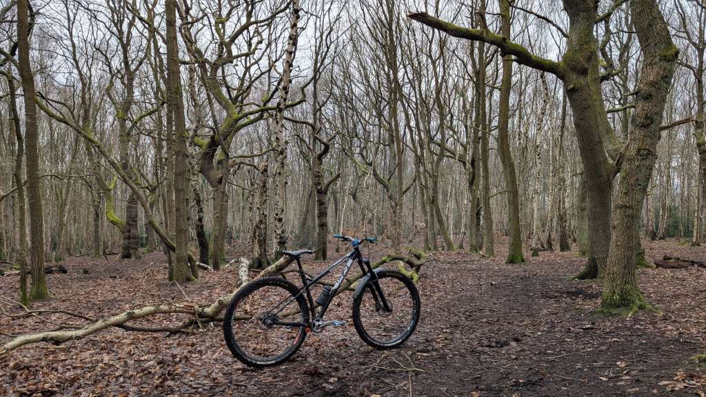 PXL_20250201_110337566