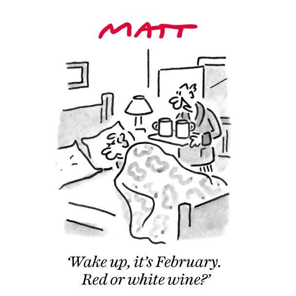 FB_IMG_1738570278129